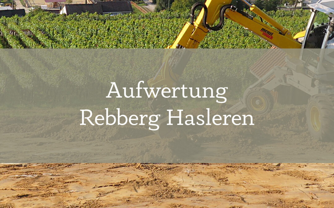 Aufwertung Rebberg Hasleren