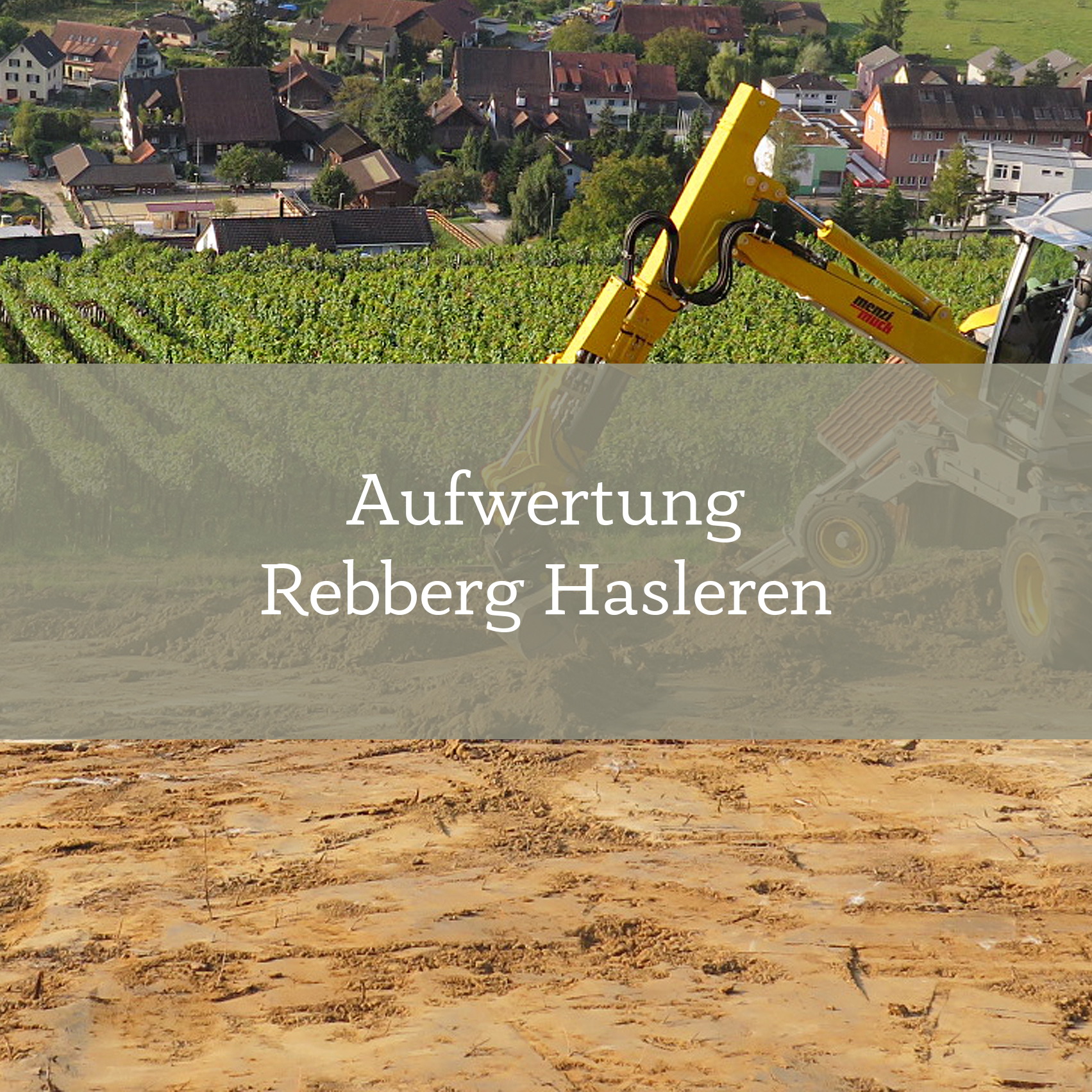 Aufwertung Rebberg Hasleren