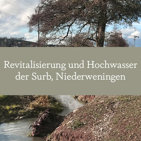 Hochwasserschutz und Revitalisierung der Surb in Niederweningen