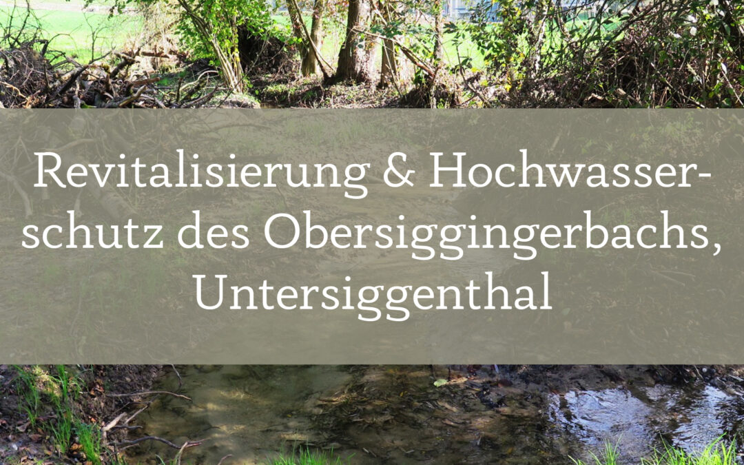 Revitalisierung und Hochwasserschutz des Obersiggingerbachs in Untersiggenthal