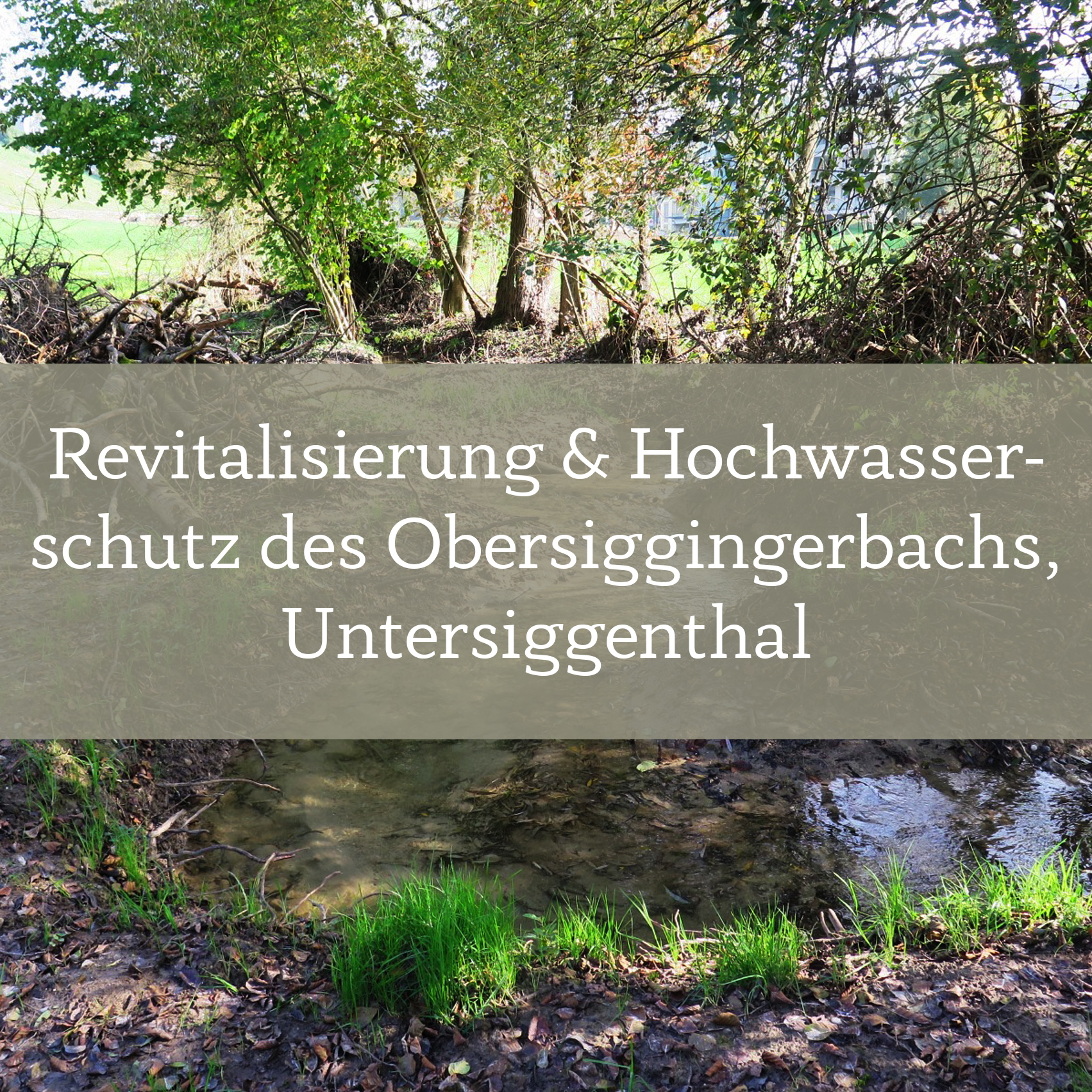Revitalisierung und Hochwasserschutz des Obersiggingerbachs in Untersiggenthal