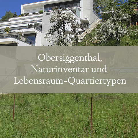 Grünes Obersiggenthal, Naturinventar und Lebensraum-Quartiertypen