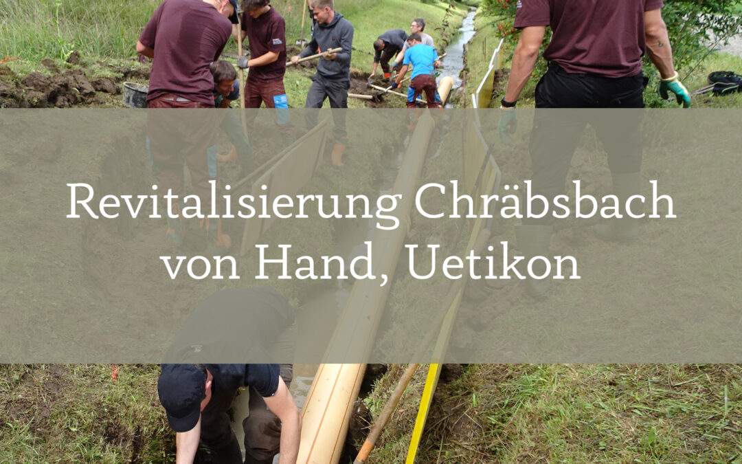 Revitalisierung Chräbsbach von Hand, Uetikon