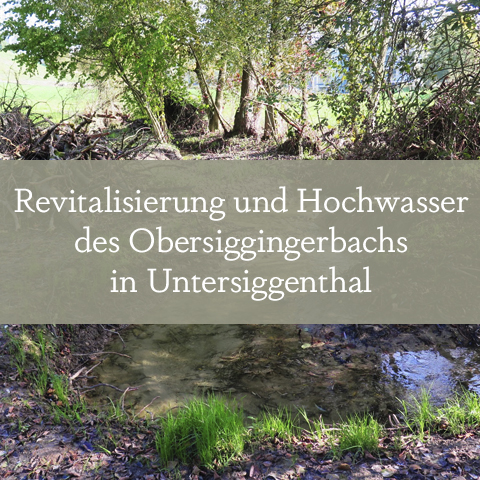 Revitalisierung und Hochwasserschutz des Obersiggingerbachs in Untersiggenthal