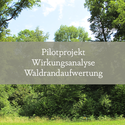 Pilotprojekt Wirkungsanalyse Waldrandaufwertung
